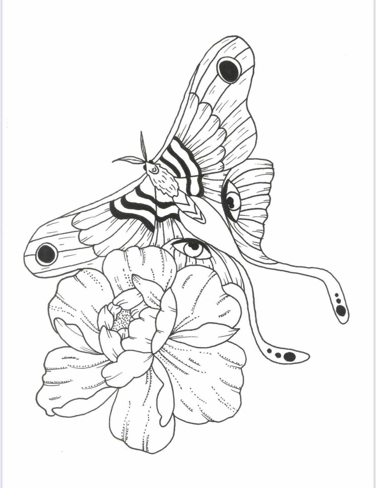 Moth Print