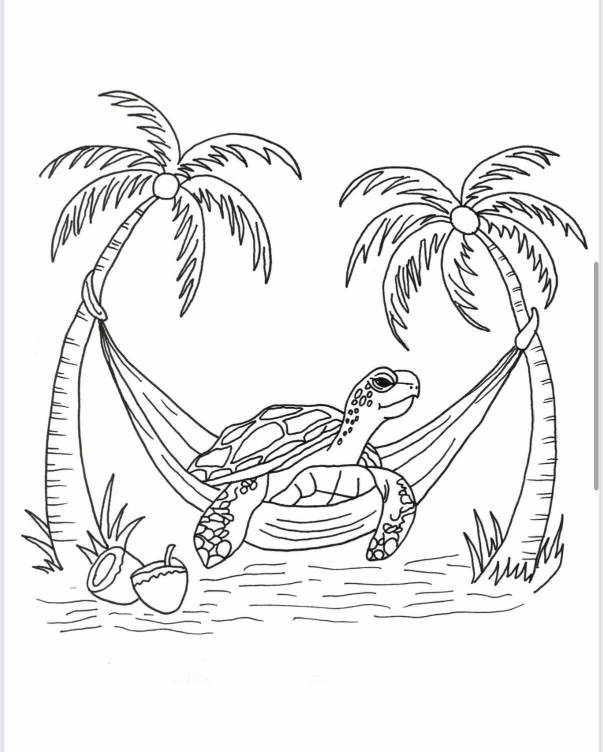 Turtle Print