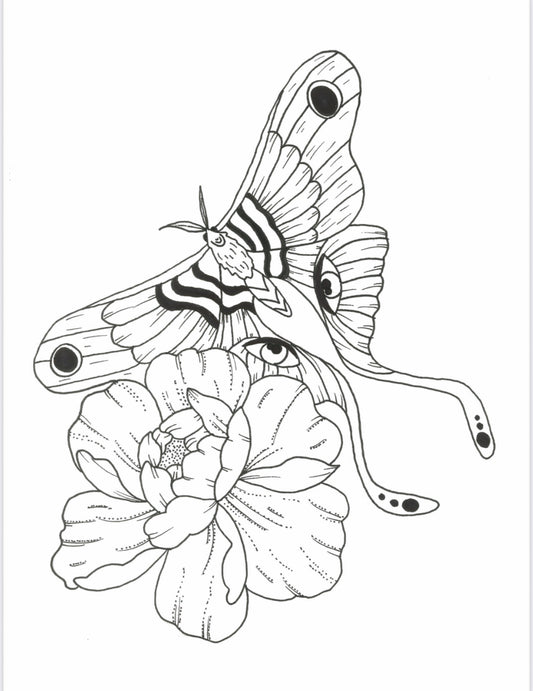 Moth Print