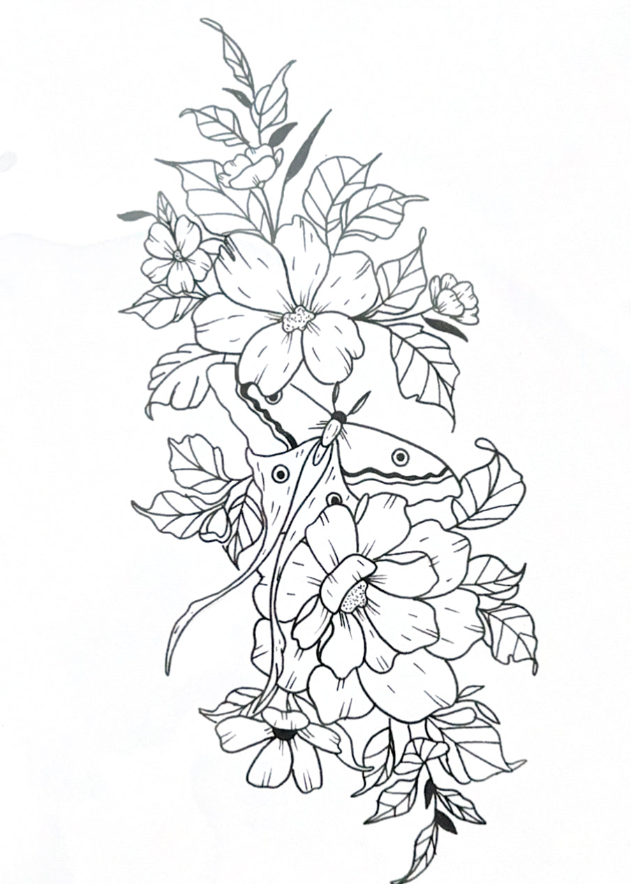 Moth & Floral