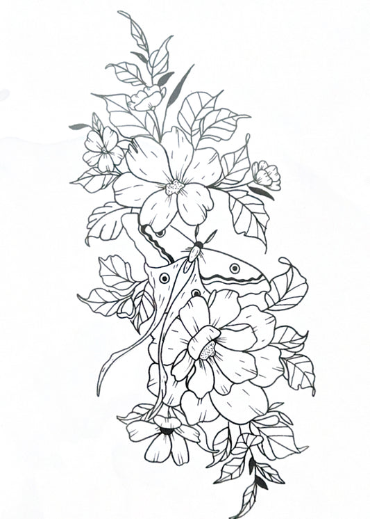 Moth & Floral