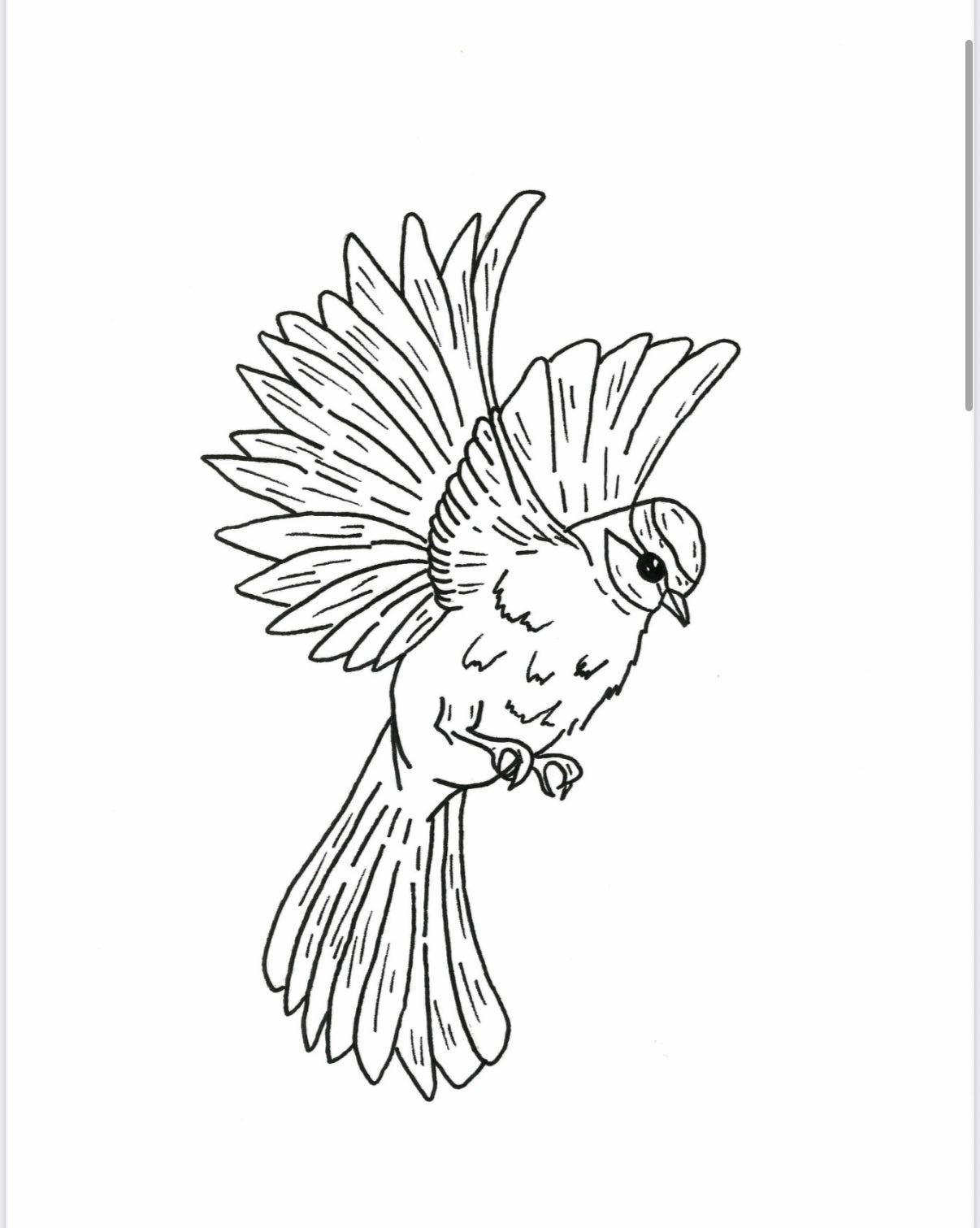 Bird Print